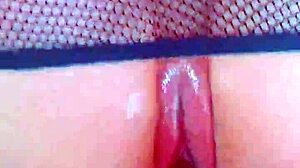puffy pink pussys fishnets bbc hardcore