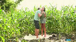 the outdoor maize field is the perfect cover where the couple can reach orgasm together