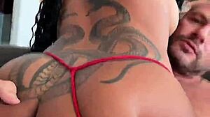 Brunette latina rough doggy with daddy