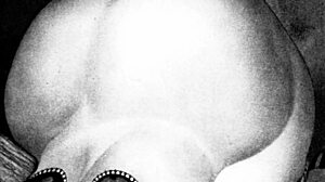 vintage erotic drawings from antique era