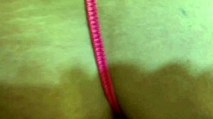 infamous mz dani fucks fan & gets huge ass covered in cum 🔥