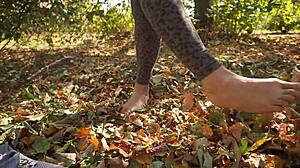 Leaves crunching underfoot asmr